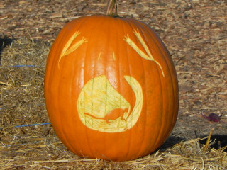 Dinner, Nipomo Pumpkin Patch best carving idea